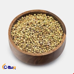 تخم گشنیز
