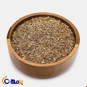 تخم شوید