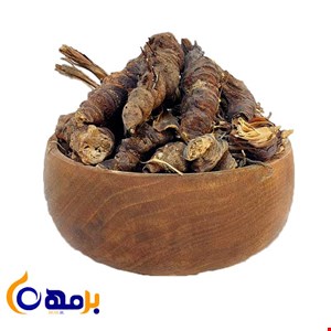 ریشه ایرسا