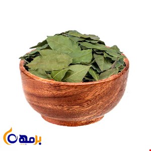 برگ بو