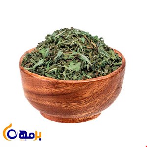 برگ کاسنی