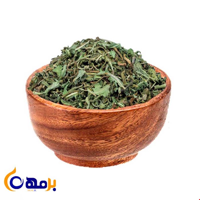 برگ کاسنی