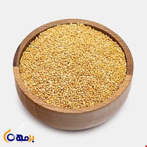 ارزن ریز