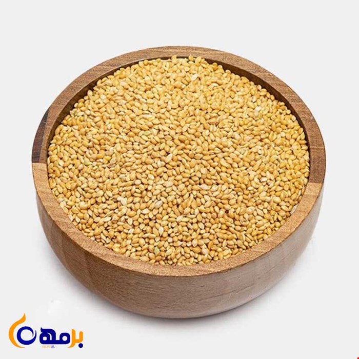 ارزن ریز