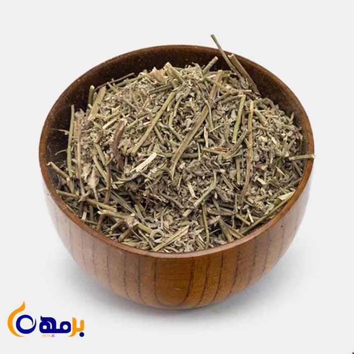 اسطوخودوس ایرانی