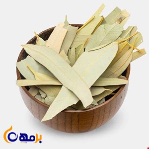 اکالیپتوس