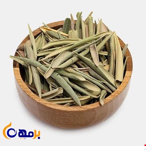 برگ زیتون