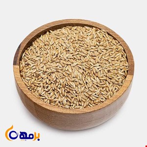 تخم کتان طلایی