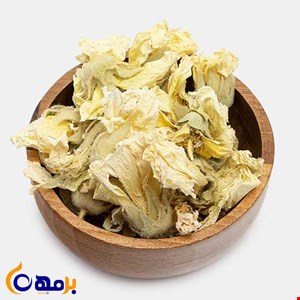 گل ختمی سفید