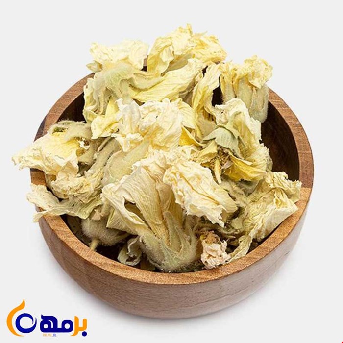 گل ختمی سفید