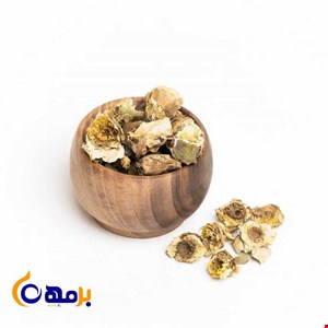 گل نیلوفر