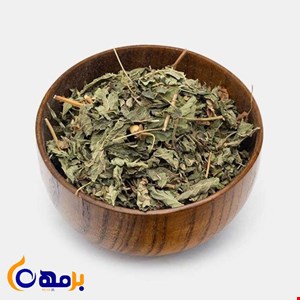 بادرنجبویه