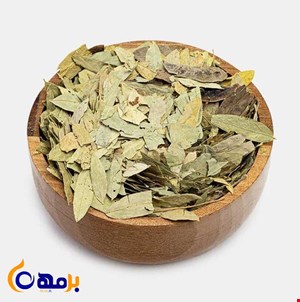 برگ سنا مکی