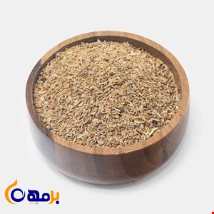 تخم کرفس
