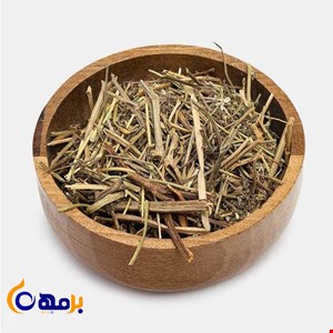 خارشتر