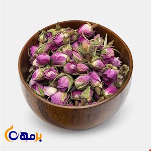 غنچه گل محمدی