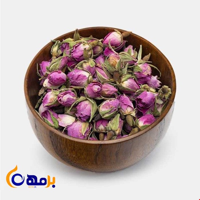 غنچه گل محمدی
