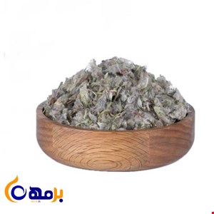 چای کوهی